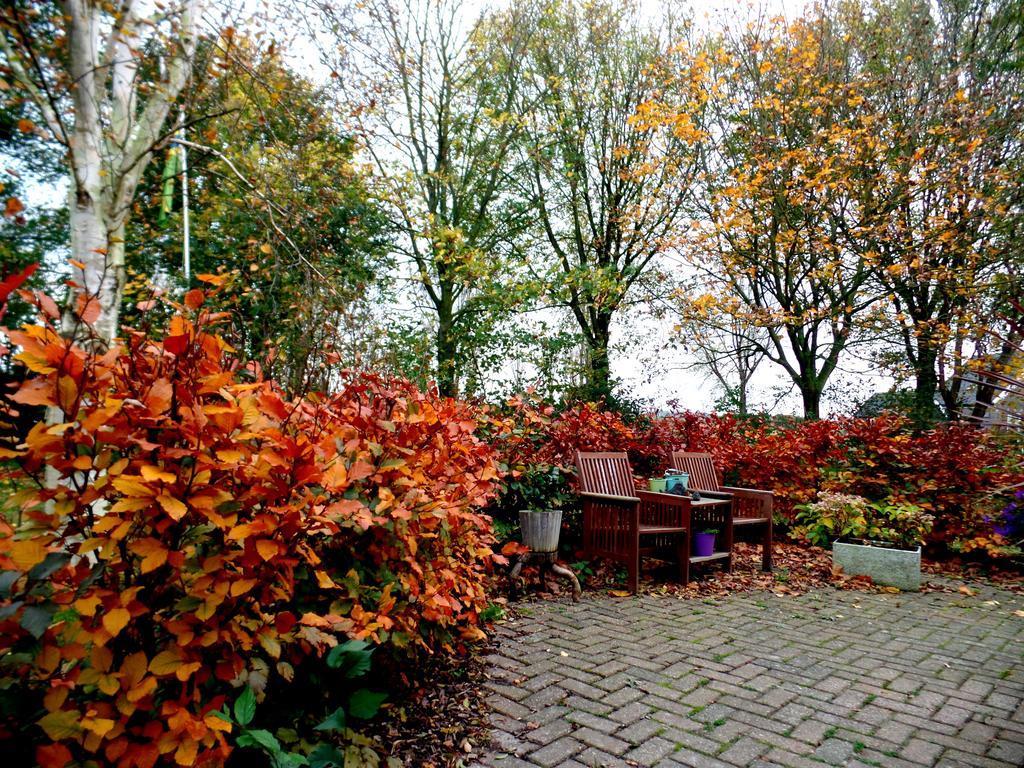 Bed En Breakfast De Pauw Wieringerwaard ภายนอก รูปภาพ