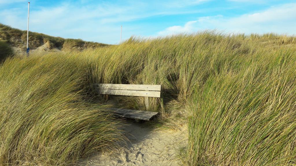 Bed En Breakfast De Pauw Wieringerwaard ภายนอก รูปภาพ