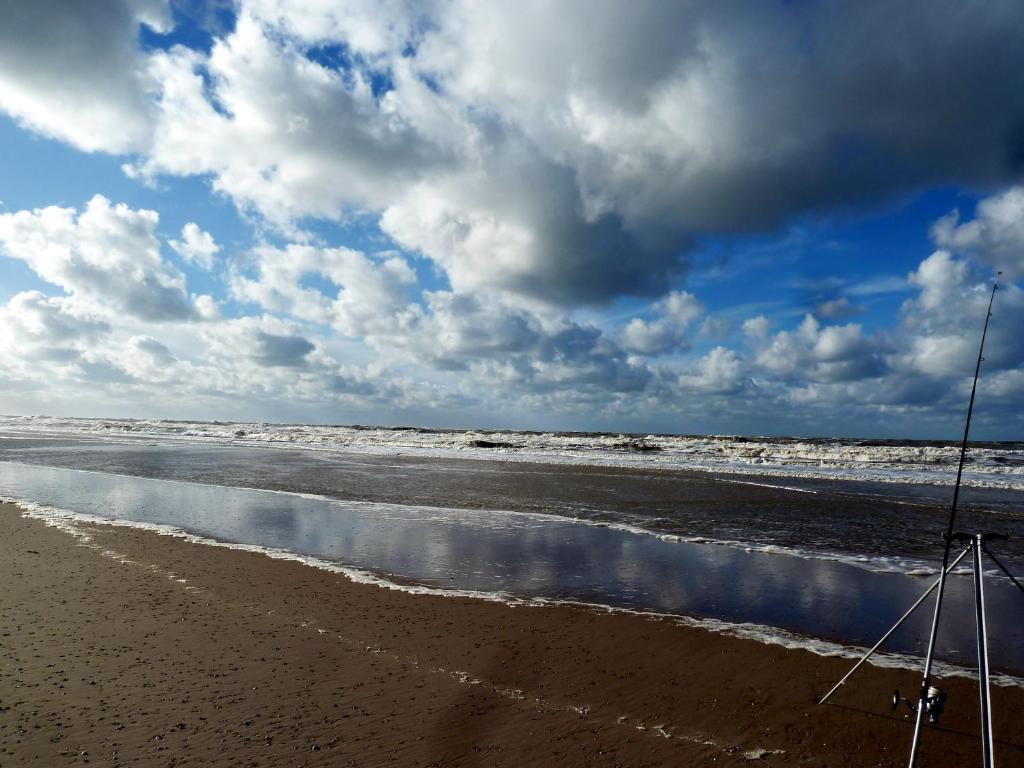 Bed En Breakfast De Pauw Wieringerwaard ภายนอก รูปภาพ