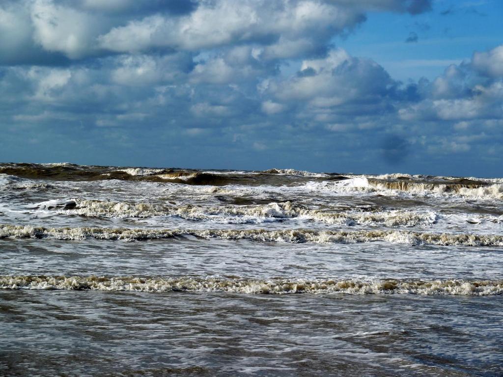 Bed En Breakfast De Pauw Wieringerwaard ภายนอก รูปภาพ