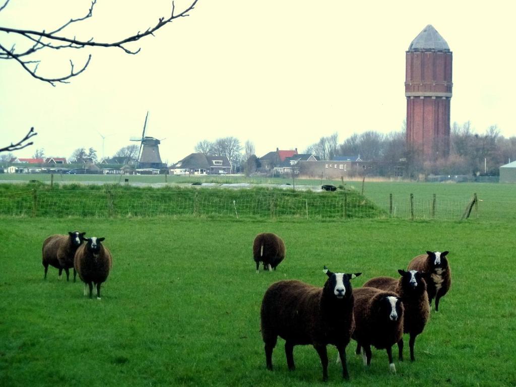 Bed En Breakfast De Pauw Wieringerwaard ห้อง รูปภาพ