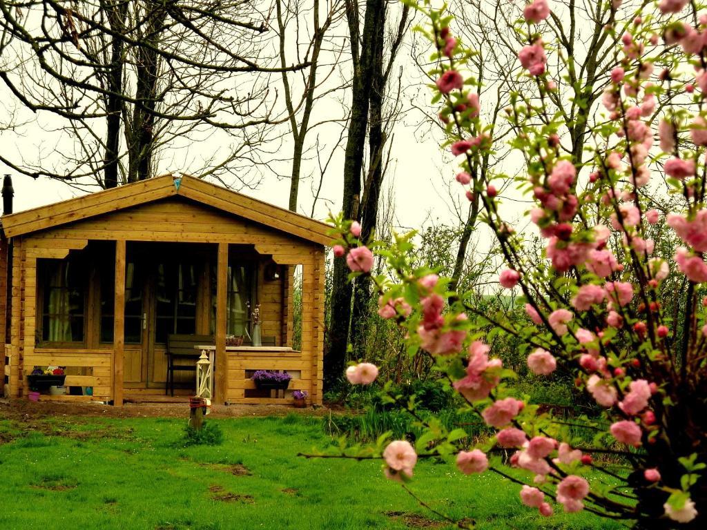 Bed En Breakfast De Pauw Wieringerwaard ห้อง รูปภาพ
